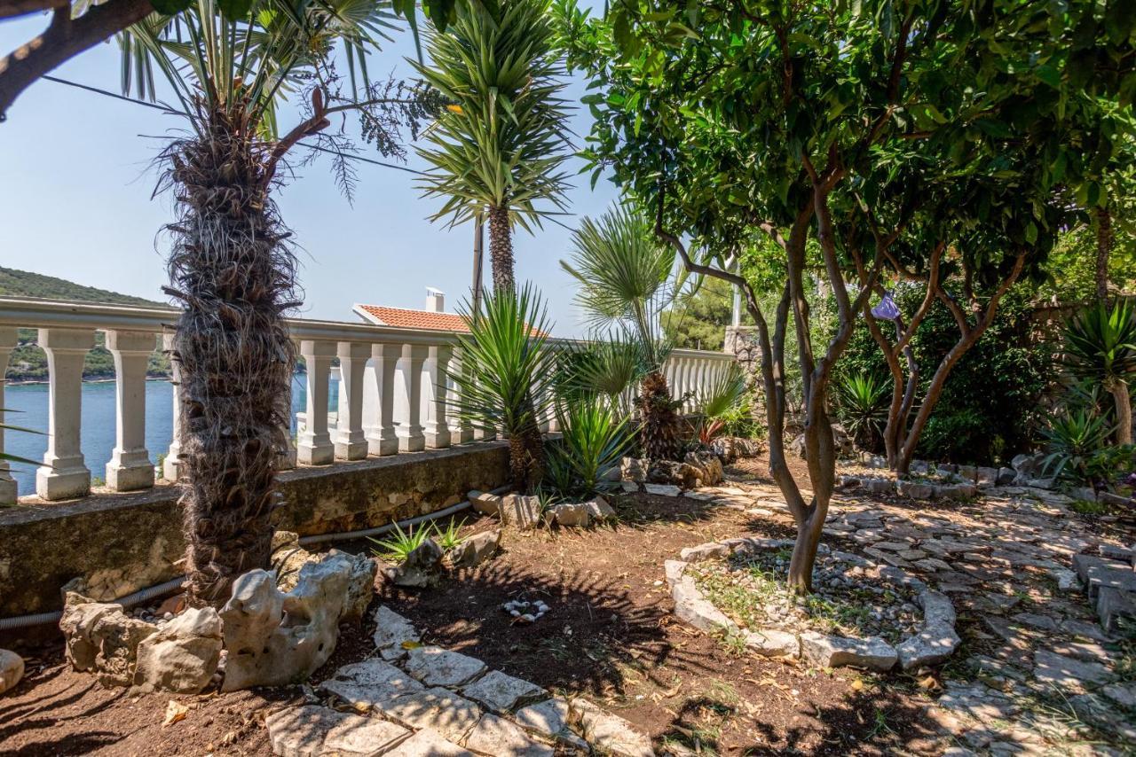 Sea Oasis Apartments - Milosevic Kotor Exterior photo